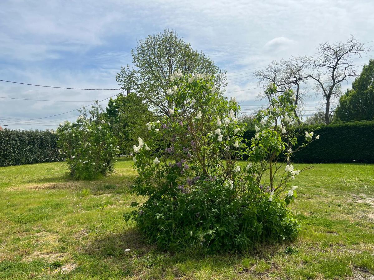 Gite Les 4 Terres Choussy Exterior foto